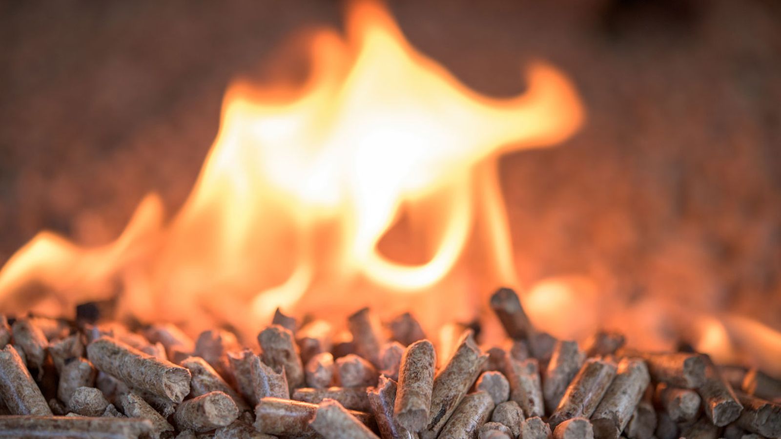 pellet-w1